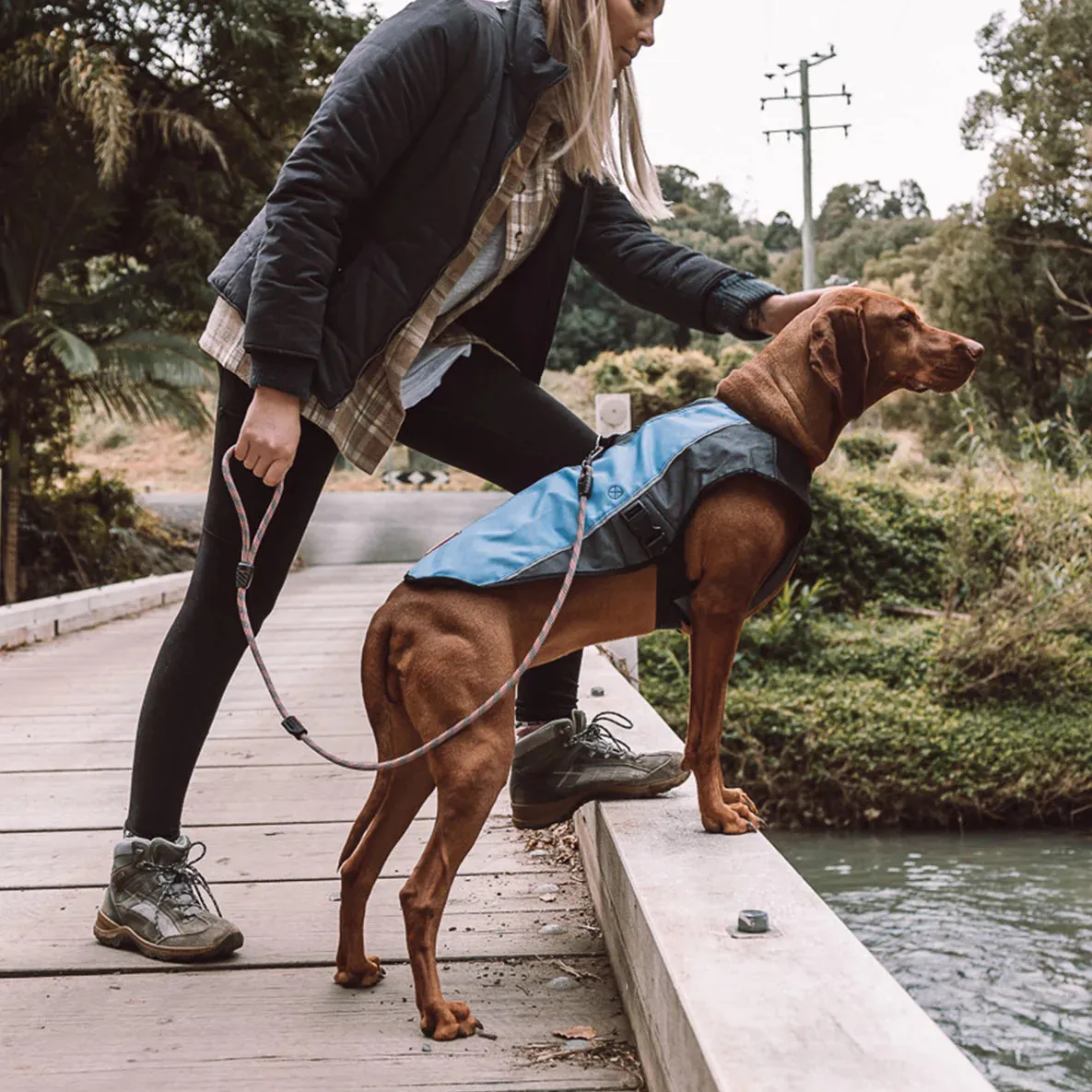 EzyDog Element Jacket