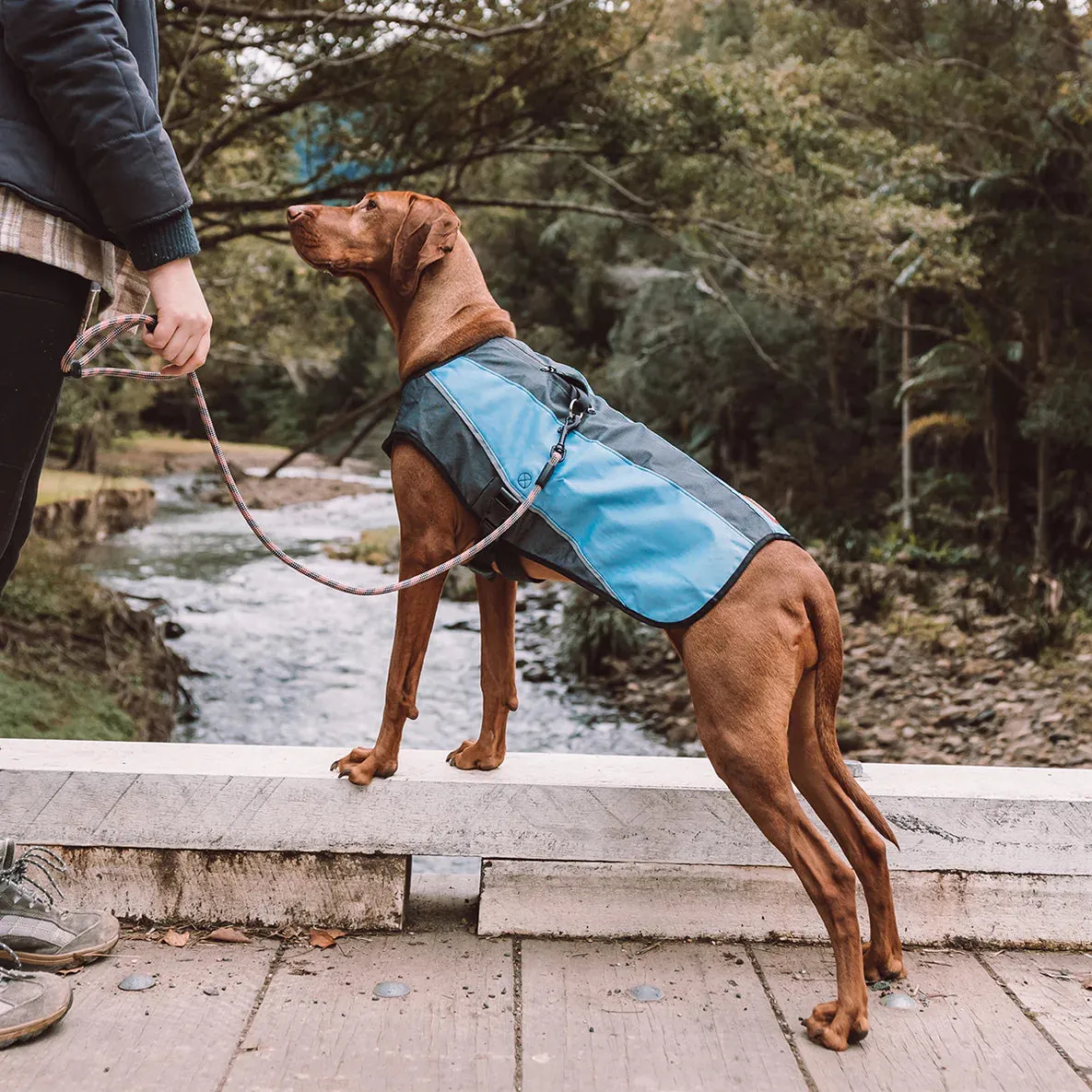 EzyDog Element Jacket