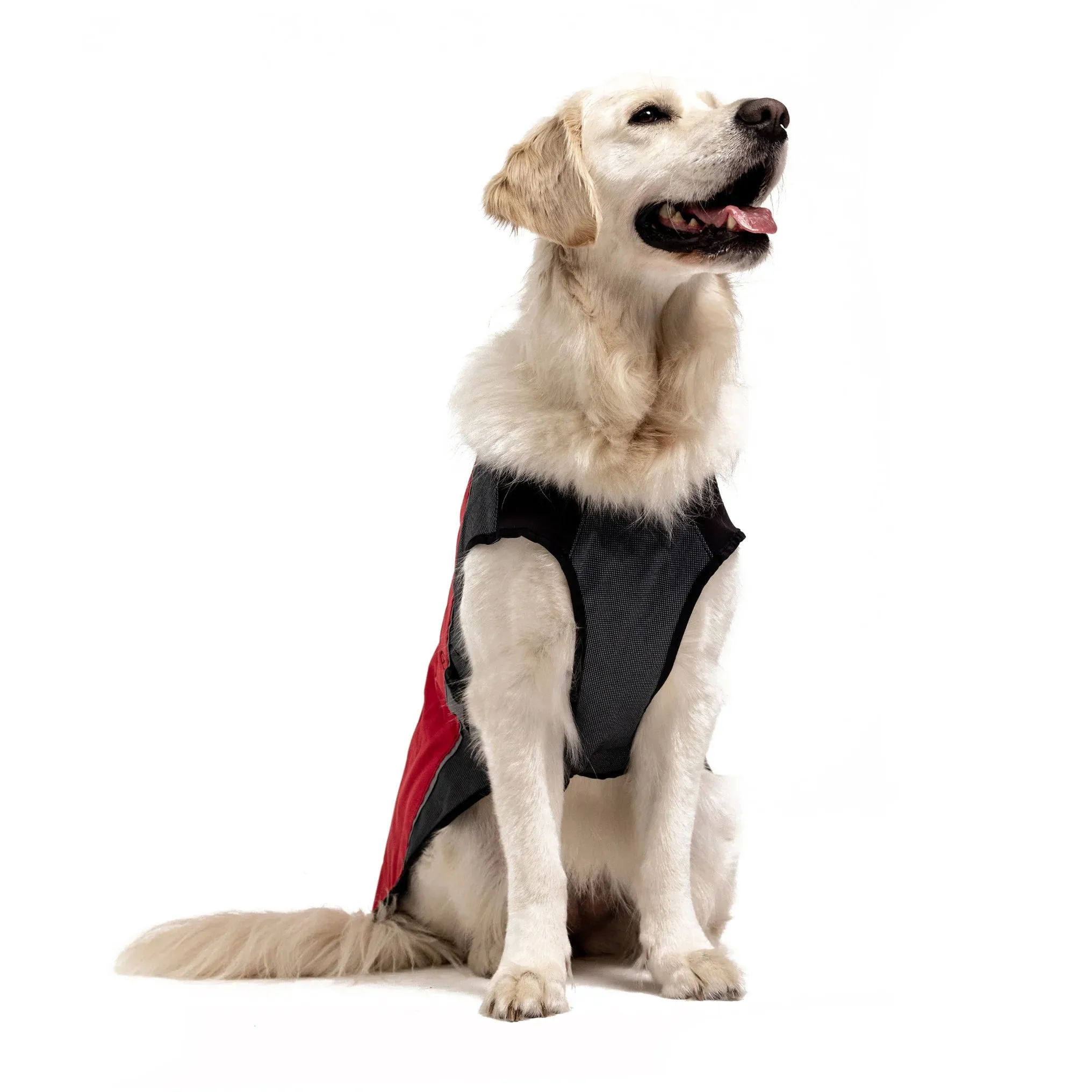 EzyDog Element Jacket