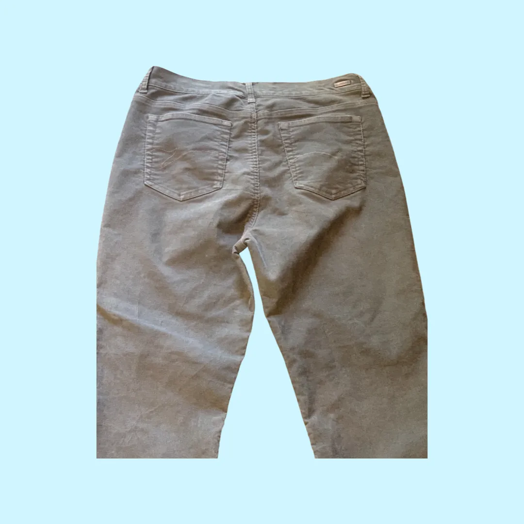 Gloria Vanderbilt corduroy green pants size 14