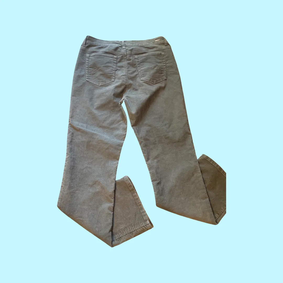 Gloria Vanderbilt corduroy green pants size 14