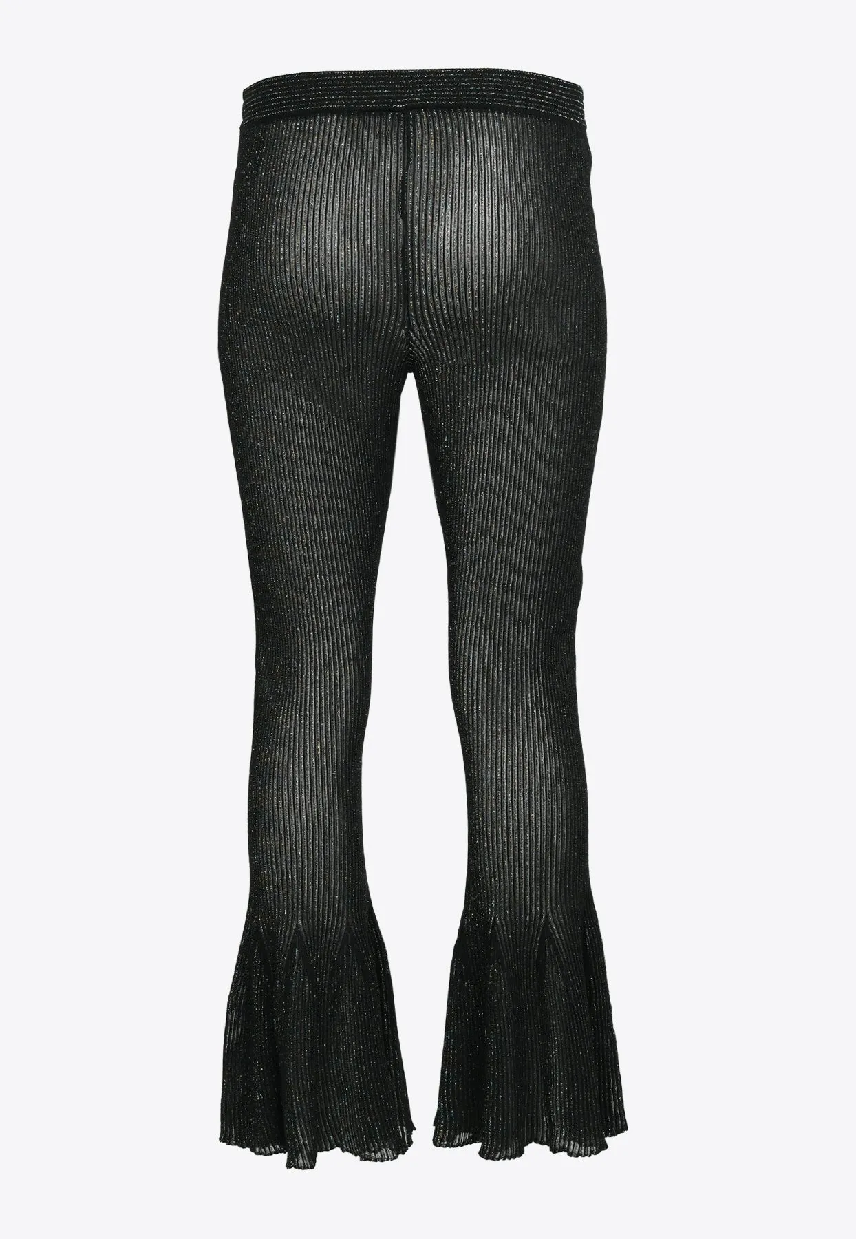Hypha Lucent Glittered Flared Pants